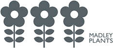 Madley Plants